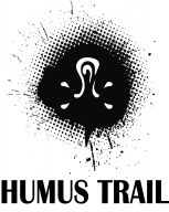 HumusTrail "Сторожевой" (тренировочный забег)